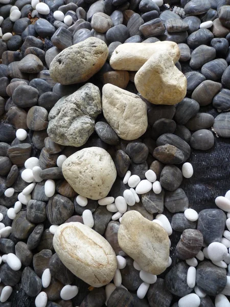 Piedras de guijarro — Foto de Stock