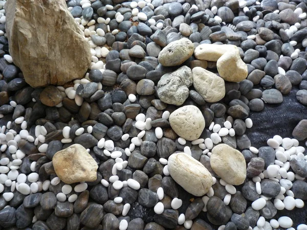 Piedras de guijarro — Foto de Stock