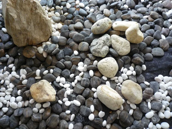 Гальковий каменів — стокове фото
