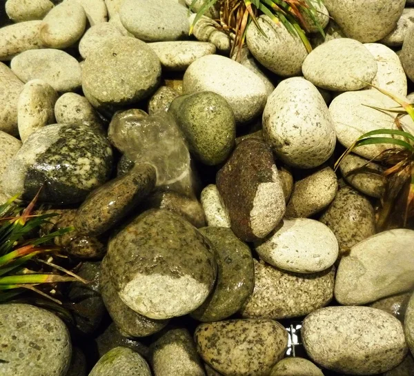 Piedras de guijarro — Foto de Stock