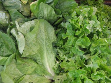 Pazarda taze meyve ve sebze