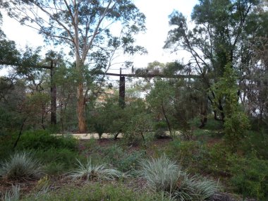 Bir asma köprü yürüyüş