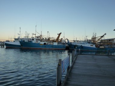 Bir asma köprü yürüyüş