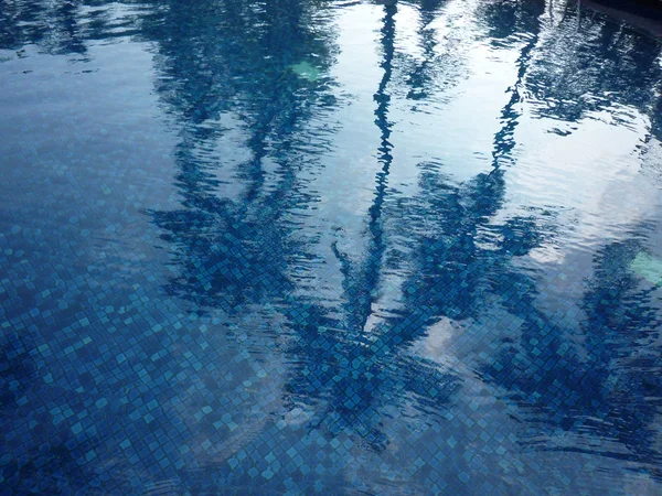 Кокосовая тень на воде бассейна — стоковое фото