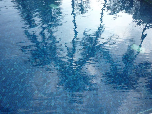 Ombre de noix de coco sur l'eau de piscine — Photo