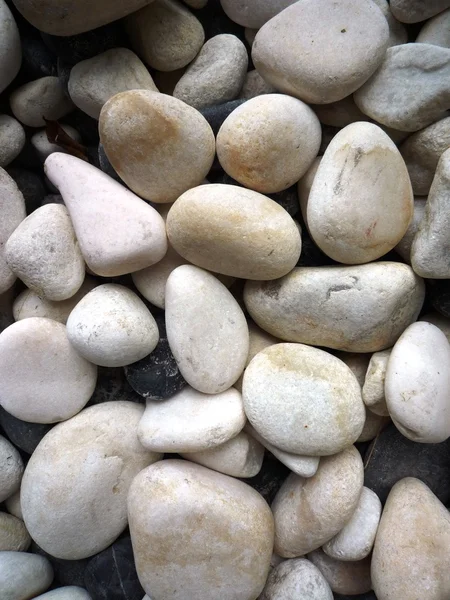 Hvid pebble sten - Stock-foto