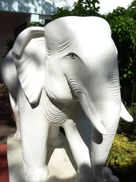 Statua elefante bianco — Foto Stock