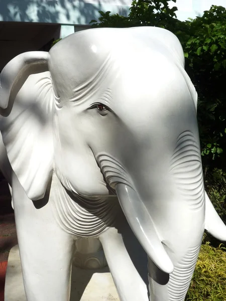 Statue d'éléphant blanc — Photo