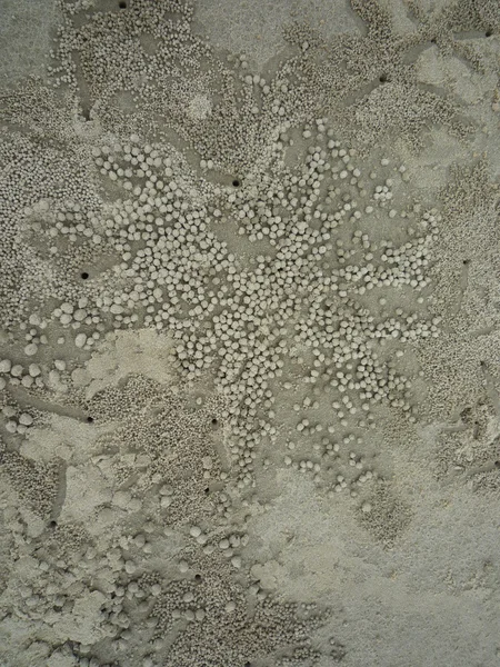 Piccola buca scavata dal granchio sulla spiaggia — Foto Stock