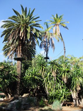 Yanchep Milli Parkı, Batı Avustralya