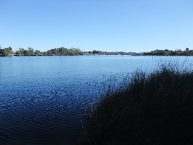 Yanchep Milli Parkı, Batı Avustralya