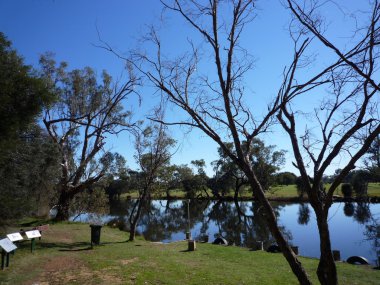 Yanchep Milli Parkı, Batı Avustralya