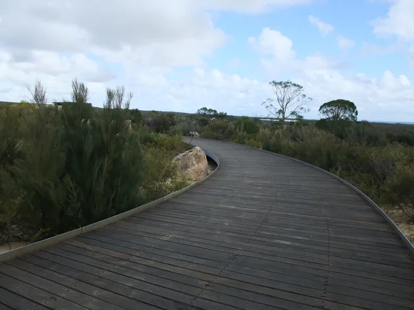 Nambung National Park, Western Australia. — Stock Photo, Image