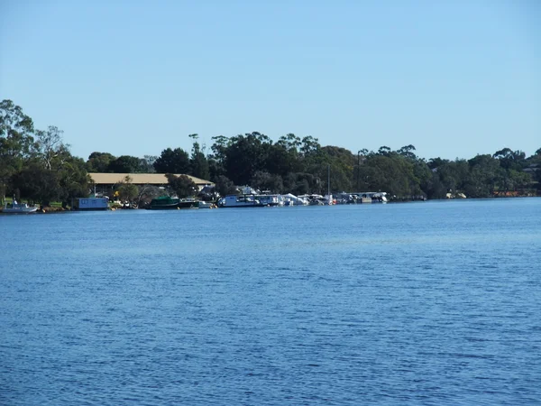 Yanchep národní park, západní Austrálie — Stock fotografie