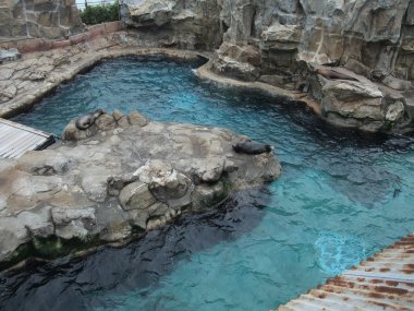 hong Kong Ocean park