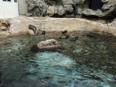 hong Kong Ocean park