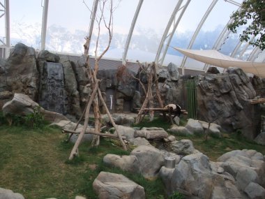 hong Kong Ocean park