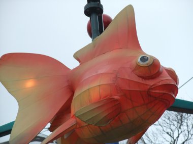 hong Kong Ocean park