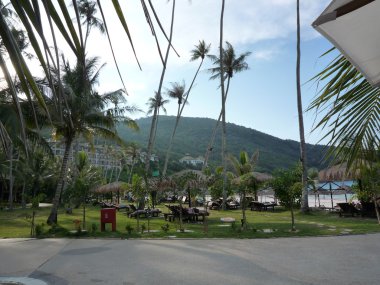 Plaj sandalyeleri ve cabana