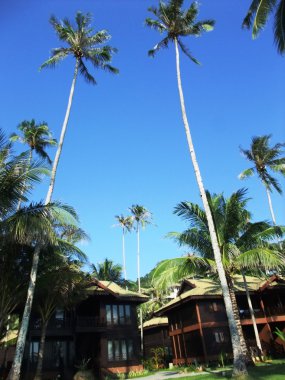 Redang Island resort, Malezya