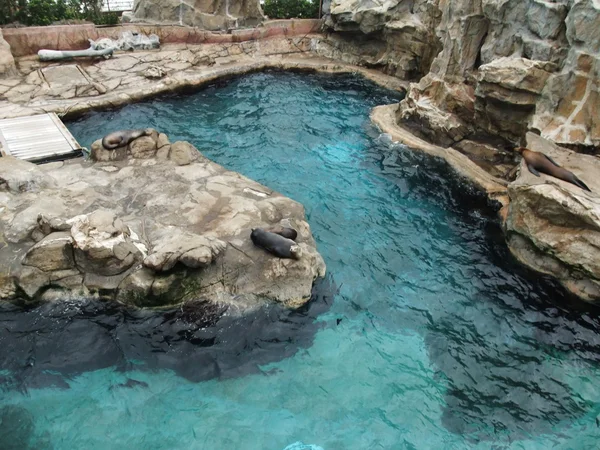 hong Kong Ocean park