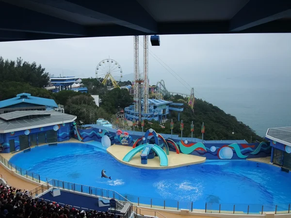Hong Kong Ocean park — Stok fotoğraf