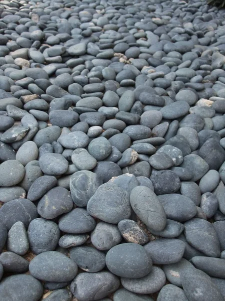 黒とウェットの小石 — ストック写真
