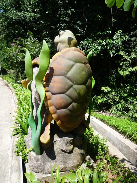 La tortue souriante — Photo