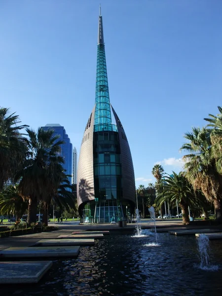 Sinos de cisne em Perth, Austrália Ocidental — Fotografia de Stock