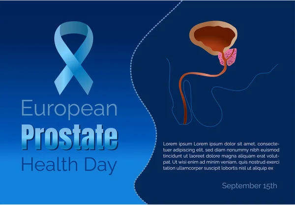 Evropský Den Zdraví Prostaty Modrá Stuha Zdravá Prostata — Stockový vektor