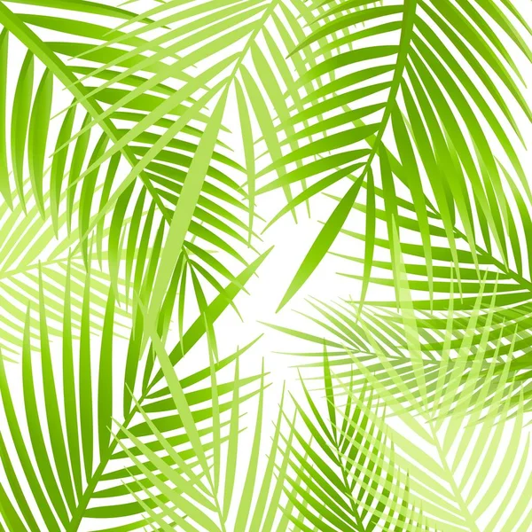 Летний Гавайский Узор Экзотическими Тропическими Растениями — стоковый вектор