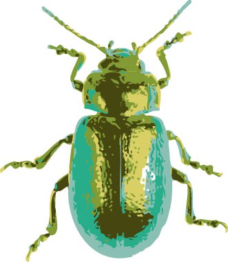 Gerçekçi el yapımı çiçek tırmığı böceği. vektör illüstrasyonu