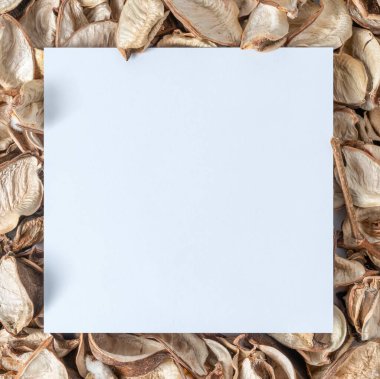 Sonbahar yapraklarından yapılmış, beyaz kart notlu yaratıcı bir düzen. Düz yatıyordu. Tatil konsepti. Boşluğu kopyala.