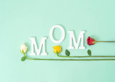 Beyaz harflerden ve nane yeşili üzerinde renkli gül çiçeklerinden oluşan yaratıcı anne kelimesi. Moda anneler günü beste yapıyor..