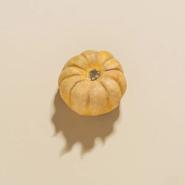 Minimalna Kompozycja Halloween Prawdziwą Dynią Rustykalną Cieniem Kształcie Płomienia Jasnym — Zdjęcie stockowe