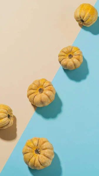 Kreatywne Pionowe Jesień Tapety Prawdziwym Żółty Halloween Dynie Ton Duet — Zdjęcie stockowe