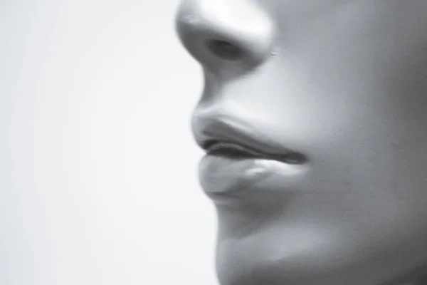 Portrait Female Lips Mannequin People Royalty Free Stock Photos