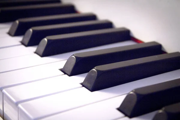 Часть Клавиатуры Пианино Белого Цвета Людей — стоковое фото