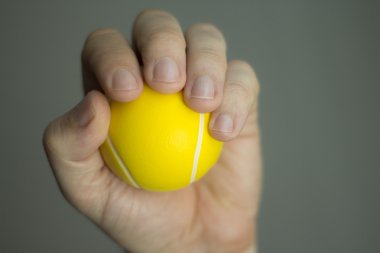 Fizyoterapi egzersiz topu