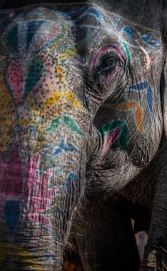 Brighton plaj renkli evleri