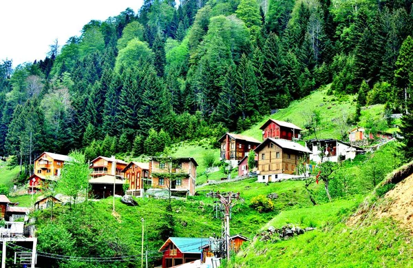 Blacksea Manzarası / Doğa Manzarası