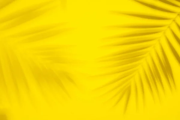 Abstract background of shadows palm leaves on yellow background — Stock Photo, Image