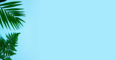 Gök mavisi arka planda izole tropik yapraklar. Satışlar için tasarım