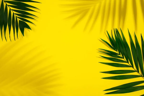 Palm leaves with shadow isolated on yellow background. Design for sales — Stock Photo, Image