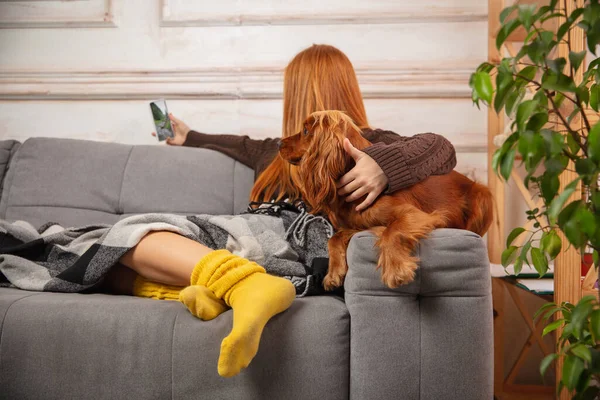 Little girl during video call by phone sitting on sofa with her dog.