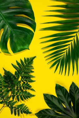 Yeşil yapraklı egzotik bitkiler. Çiçek baskısı için sanat kolajı