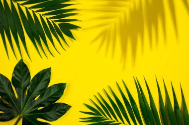 Yeşil yapraklı egzotik bitkiler. Çiçek baskısı için sanat kolajı