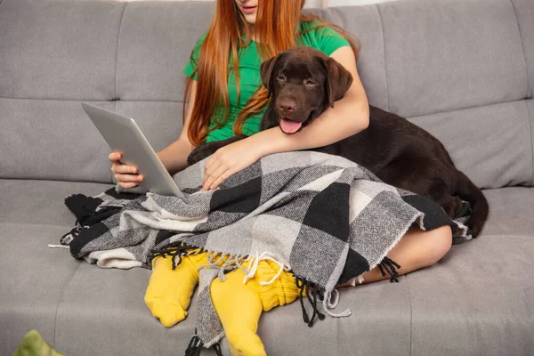 Young little girl using digital tablet sitting with her dog. Lifestyle concept.