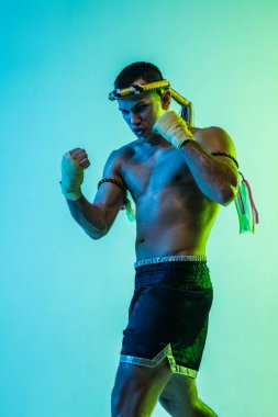 Genç Taylandlı boksör mavi arka planda poz veriyor. Dikey bileşim.