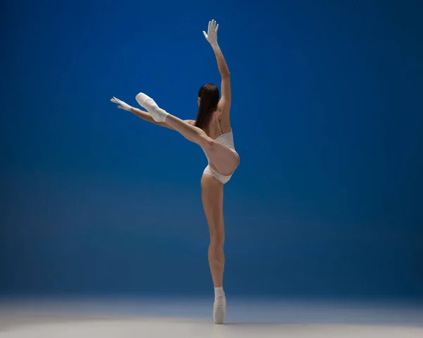 Vue de derrière. Jeune belle ballerine en action isolée sur fond bleu. Concept de beauté, art, spectacle, théâtre. — Photo